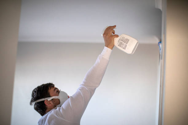 Crawl Space Mold Removal in Havana, IL