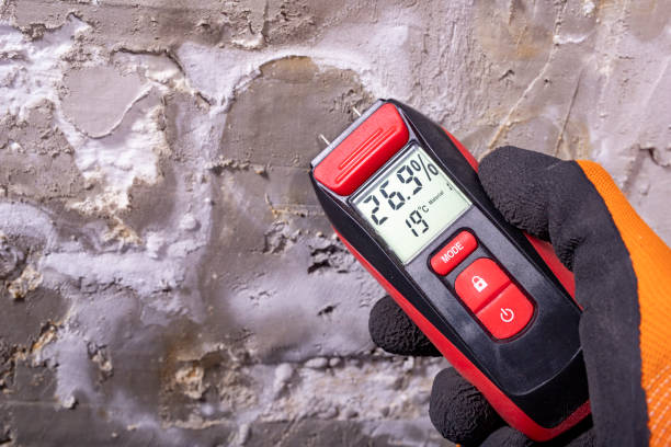 Best Emergency Mold Removal  in Havana, IL