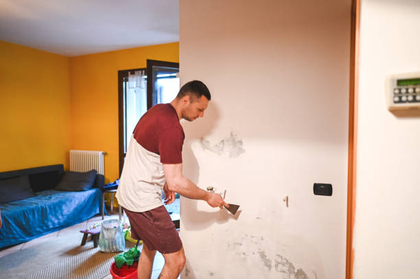 Mold Removal Process in Havana, IL